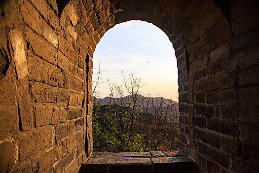 xổ số đài