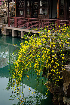 xổ số thái bình