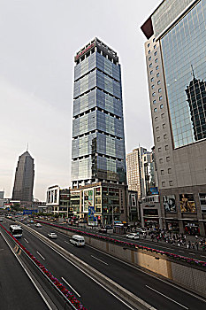 soi cau 88 rong bach kim