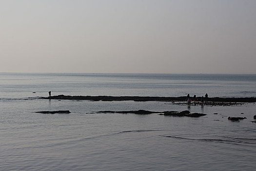 dàn đề miền nam
