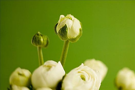 xổ số đồng tháp tuần trước