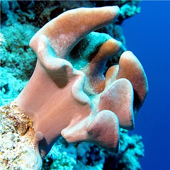 soi cầu ba miền