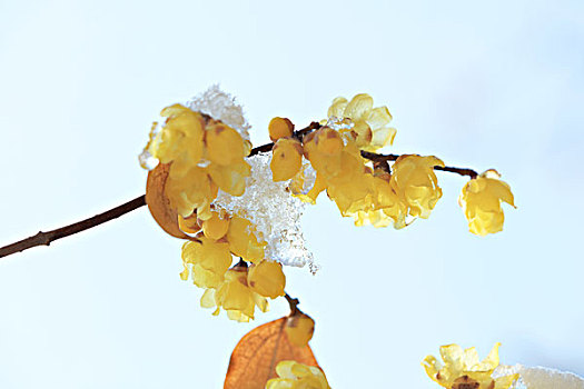 thống kê xổ số hôm nay