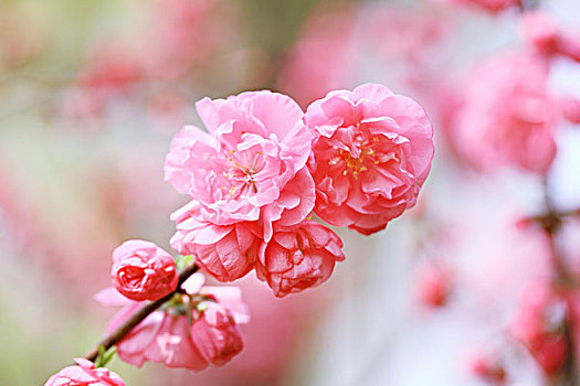 soi cầu lô đẹp hôm nay