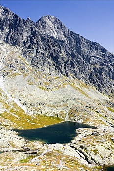 soicau88