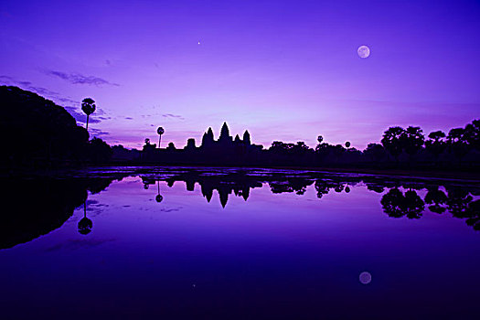 soi bach thu lo mien bac