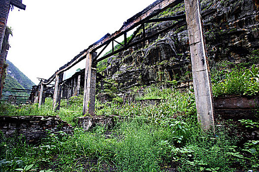 bach thu de ngay mai