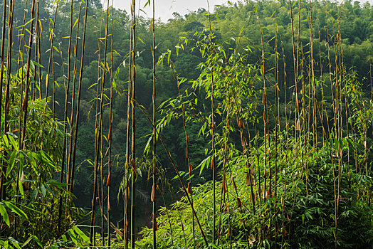 xổ số an giang tuần rồi