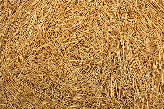 xổ số thứ sáu tuần trước