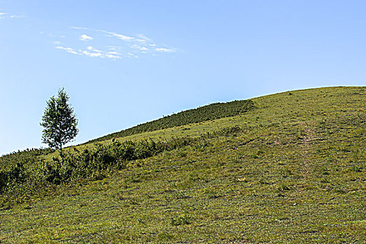 du doan bach thu mien nam