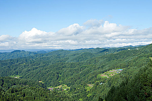 soi câu bạch kim