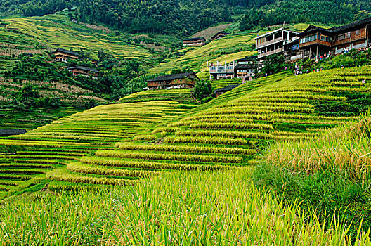 soi cau du doan xo so mien bac