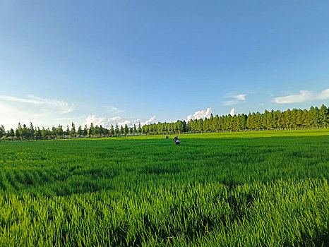 cách đánh lô đề miền nam