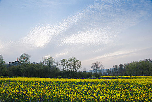 chơi lô đề