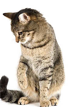 xổ số ngày chủ nhật