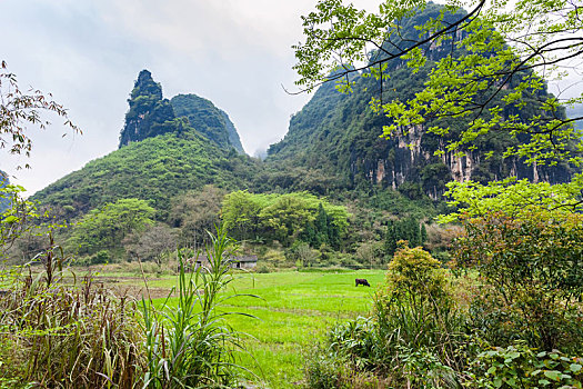 chốt xsmb