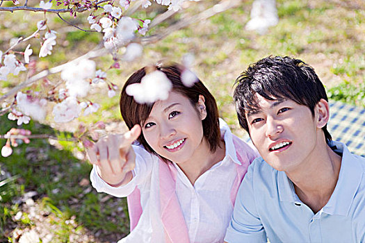 bạch thủ lô hôm nay là con gì