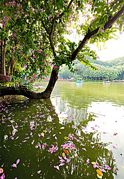 soi cau wap hom nay