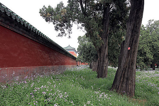 xsmn thu 6 hang tuan