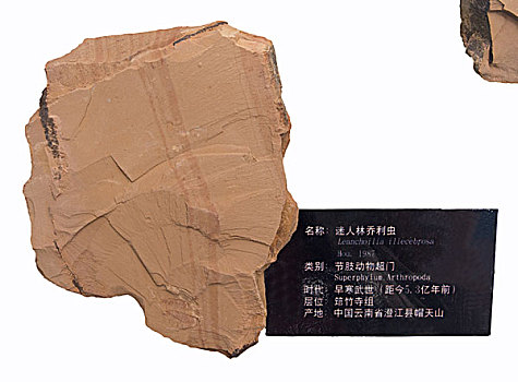 kết quả xổ số bình phước