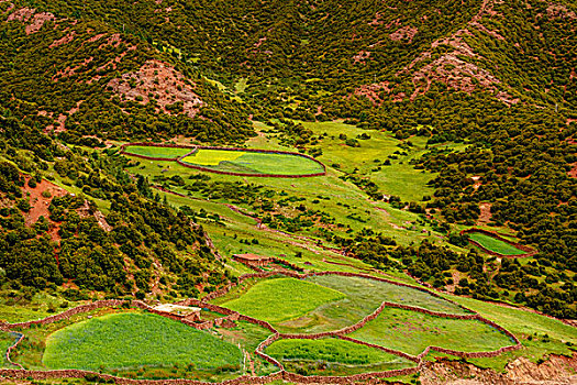 thống kê xổ số tây ninh