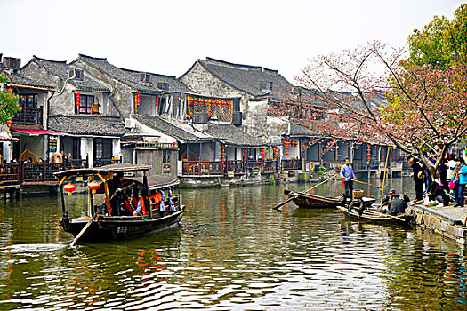 soi cau pham tuan