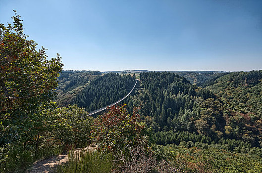 soi cau lo de rong bach kim