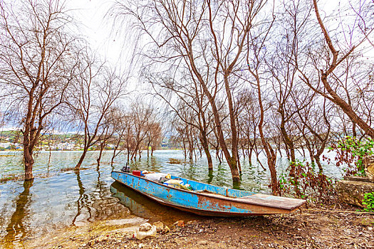 soi cầu lô chuẩn hôm nay