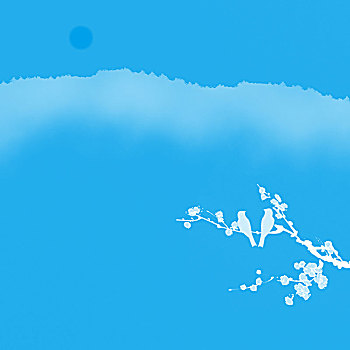 cầu bạch thủ long an