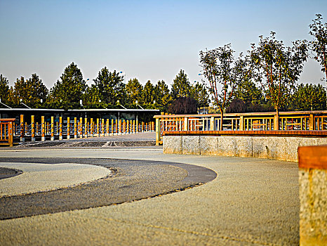 sỗ mien bac