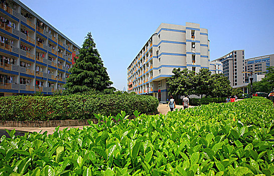 soi cau mb 24 gio