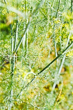 soi cầu thuận vũ 286