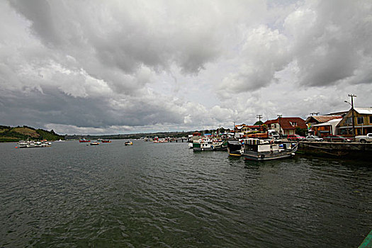 soicaulode bachthu