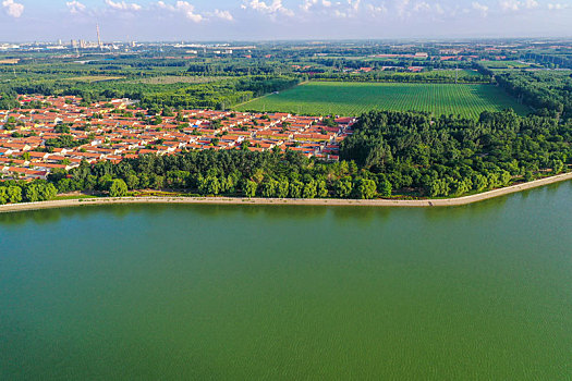 bach thu de ngay mai