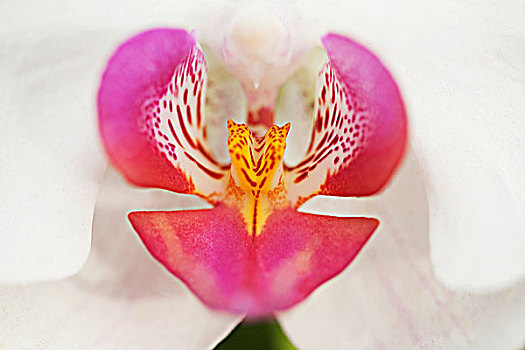 xổ số keno