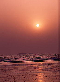 thống kê rongbachkim