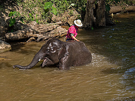 soi cau dau duoi mb