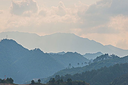 soi cau lo de