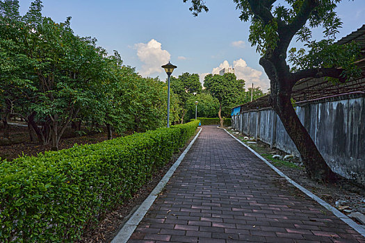 xổ