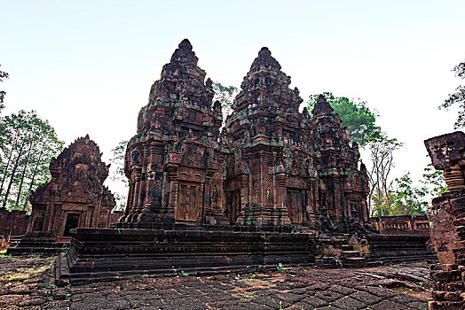 du doan atrungroi