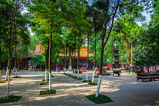 soi cầu lô 24 giờ