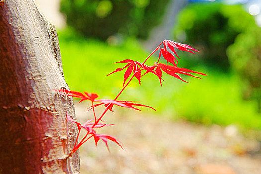 xsmb chủ nhật