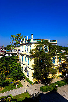 soi cau bach thu khung 3 ngay