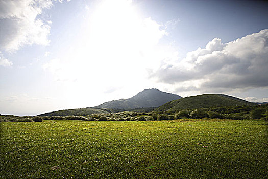thống kê tần suất lô