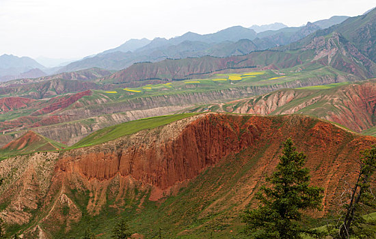 lo khan rongbachkim