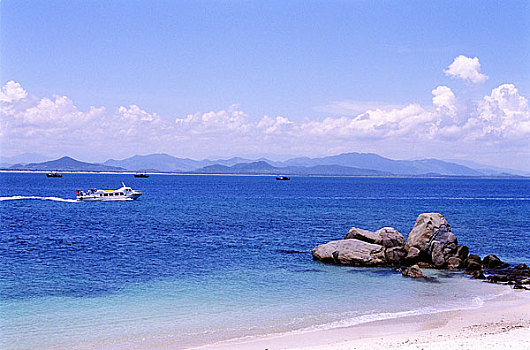 soi cau 3666