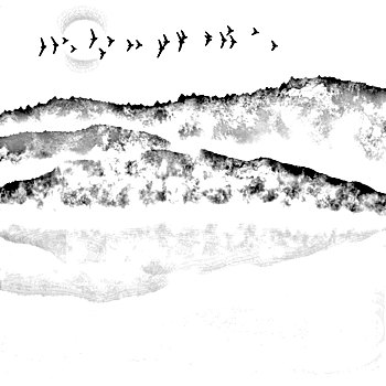 soi bạch thủ lô