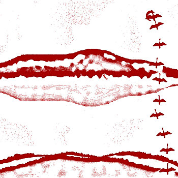 dò xổ số