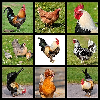 xổ số trực tiếp ba miền