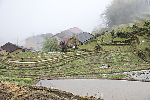 cách đánh song thủ lô